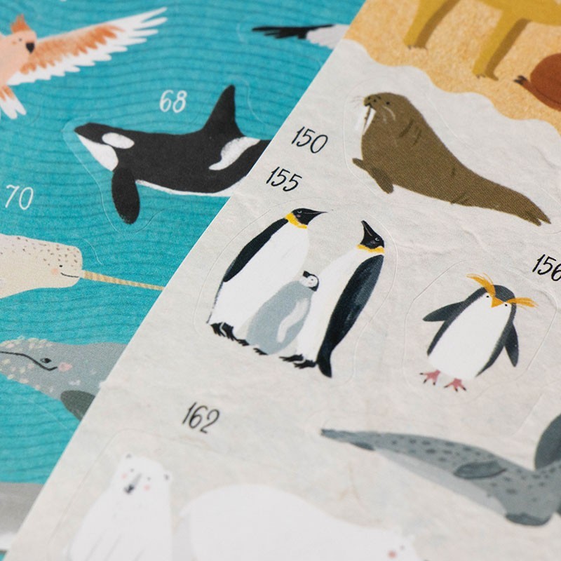 Découvrir les animaux du monde
